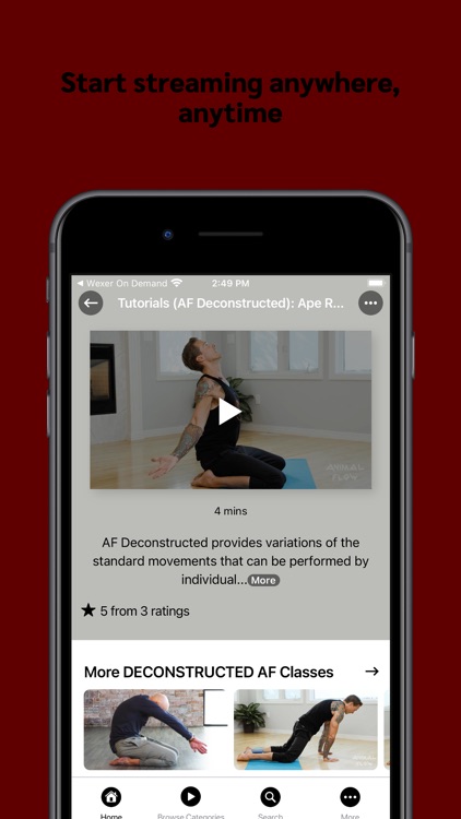 Animal Flow OnDemand