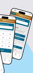 Metric Conversion tool screenshot