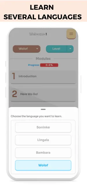Imitara screenshot 2