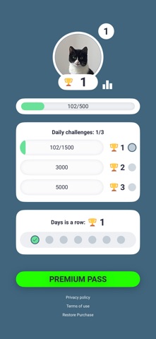 Step Counter Game - WalKing Screenshot 3 of 3