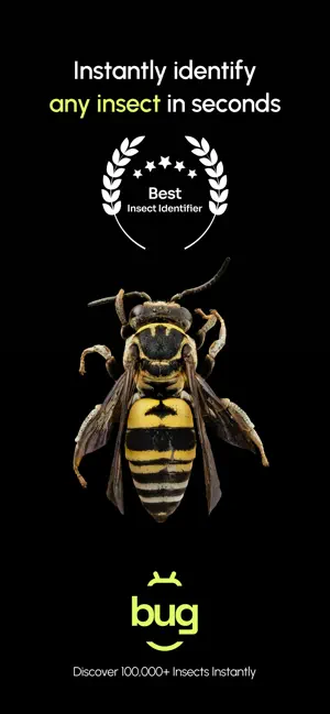Insect Identifier: Bug AI screenshot 1
