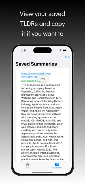 TLDR AI Instant Summary screenshot 4