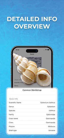 Sea Shell Identifier Finder screenshot