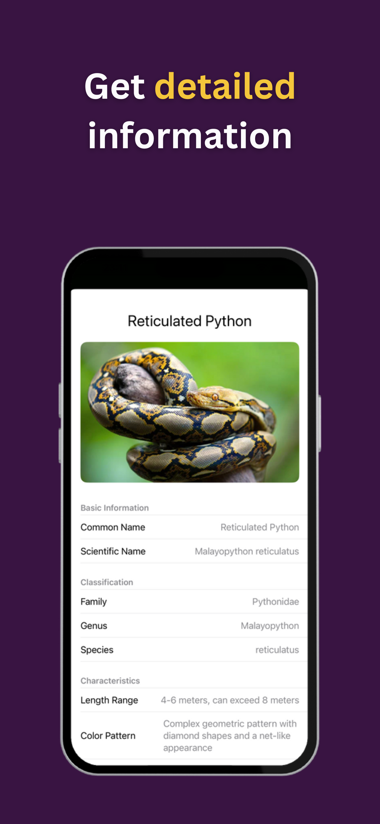 Snake Detector: AI Scanner