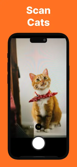 Cat Breed Identifier - Caty screenshot 1
