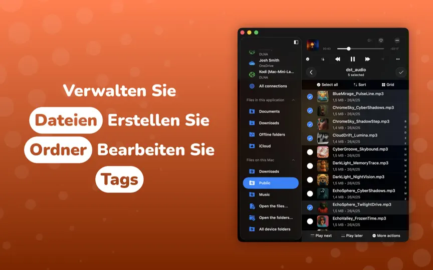 Screenshot von Evermusic auf dem iPhone 9