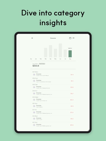 Green Ledger: Expense & Budget iPad screenshot