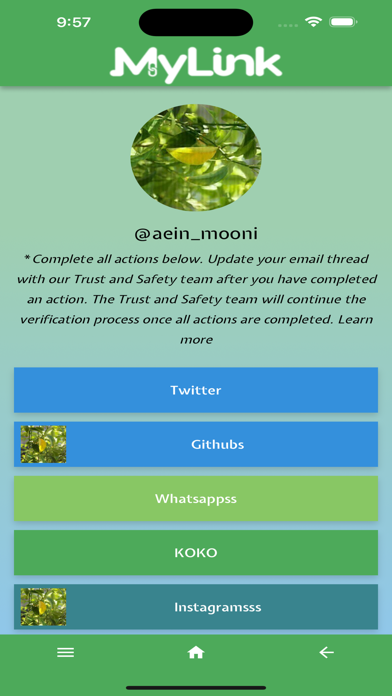 MyLink.la Screenshot