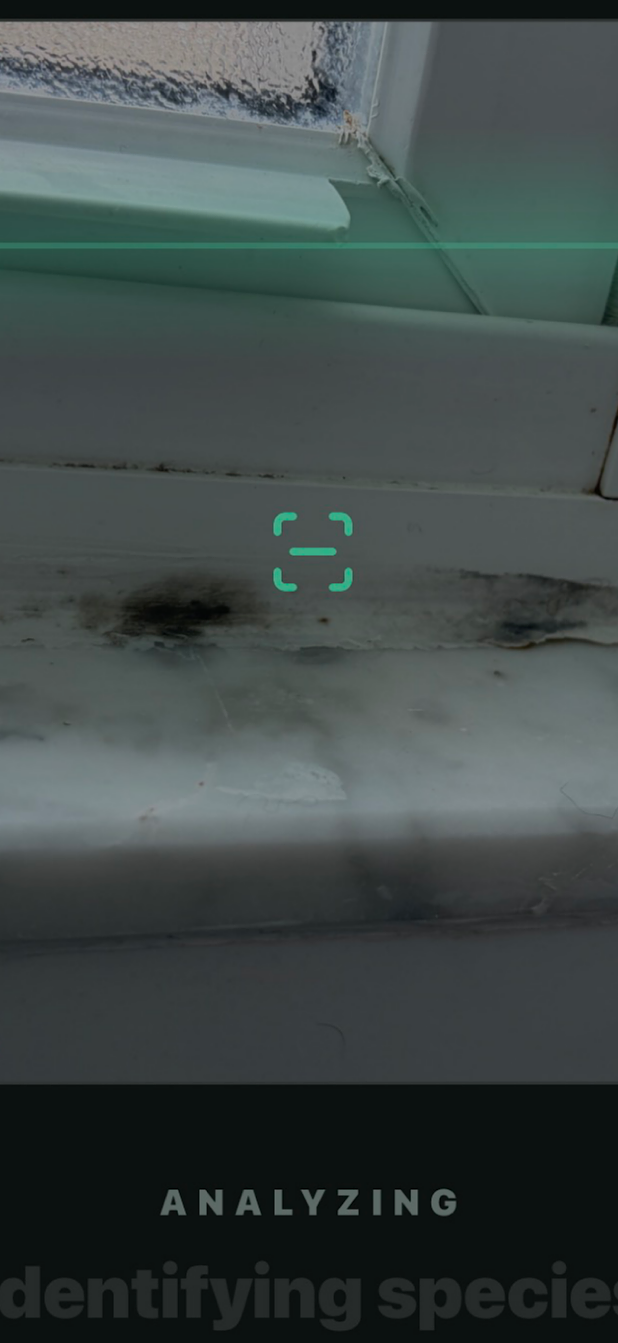Mold Detect screenshot 8