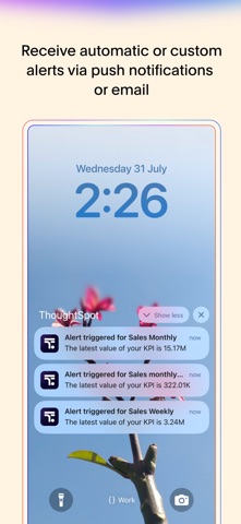 ThoughtSpot Screenshot 6 of 7
