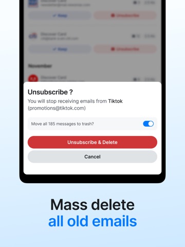 Email Cleaner: Inbox Zapper iPad screenshot