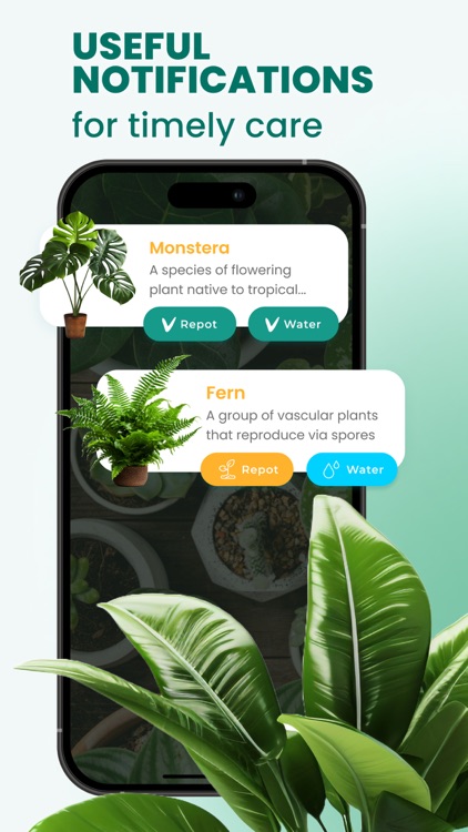 Plant & Leaf Identification screenshot-4