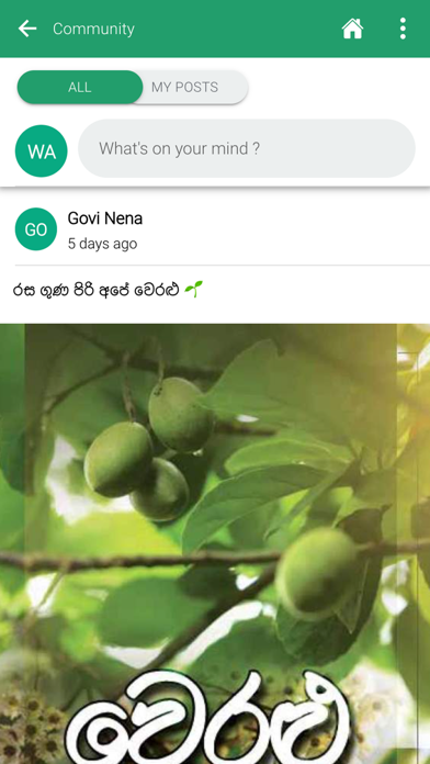 WIDYA Ruhuna GoviNena Screenshot