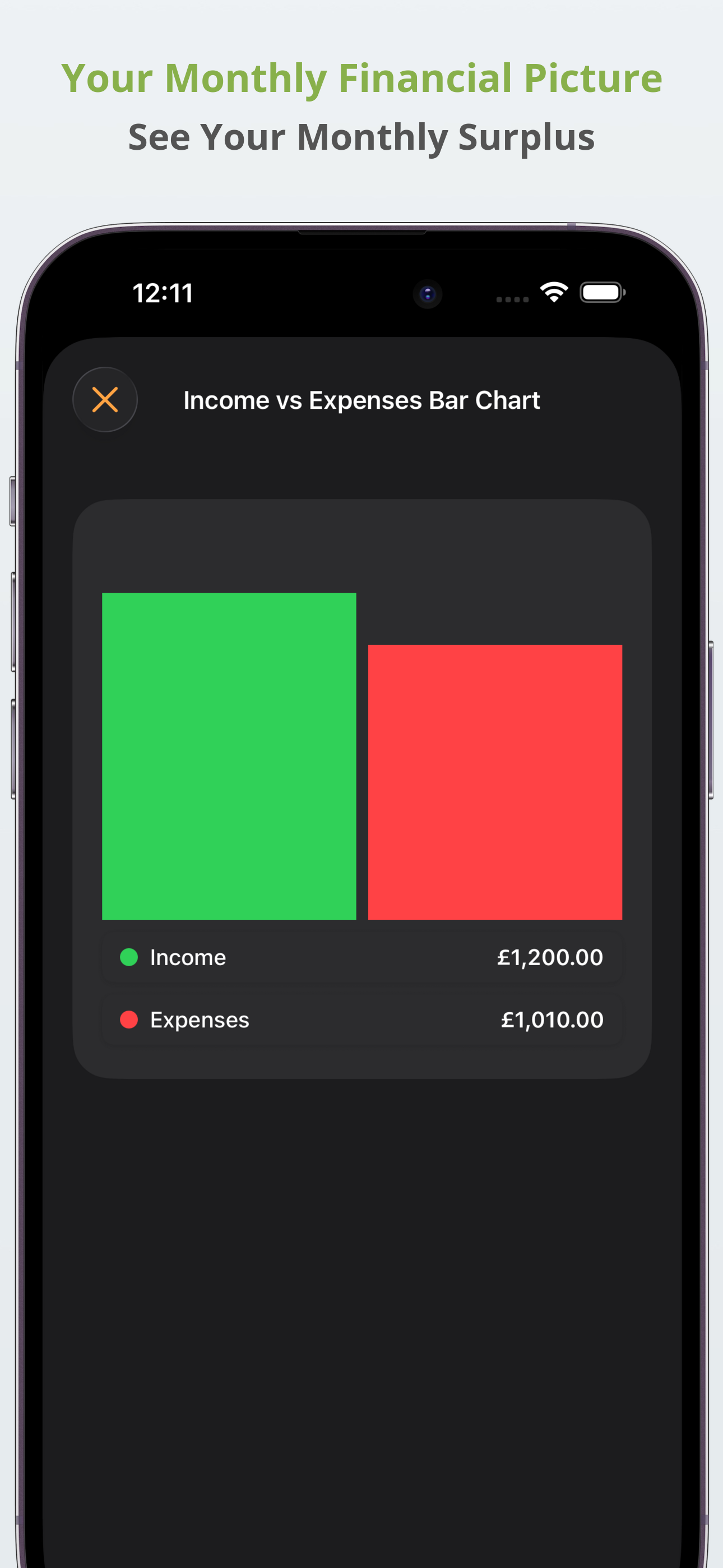 Bank Account Budget Tracker screenshot 3
