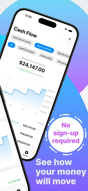 CashCrew - Future Cash Flow screenshot 2
