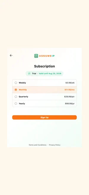 AssumeIP screenshot 4