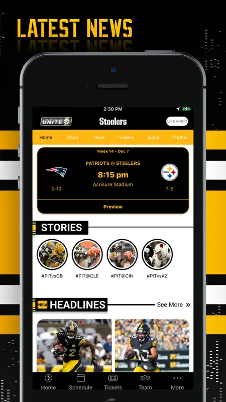 Pittsburgh Steelers screenshot 2 of 5
