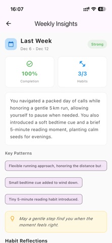 DshaAura screenshot