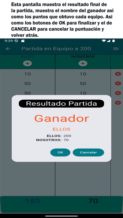Dominoscore FSPro screenshot-5