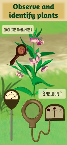 The Botanistery Screenshot 1 of 8