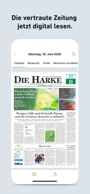 DH - E-Paper screenshot 3