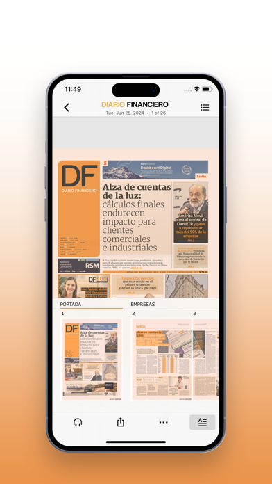 Diario Financiero Screenshot