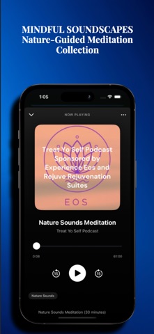 MindFlow Hub screenshot