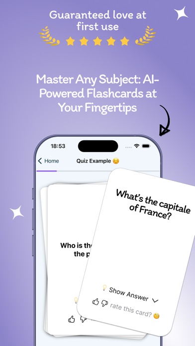 Anki Flashcards Maker with AI Screenshot