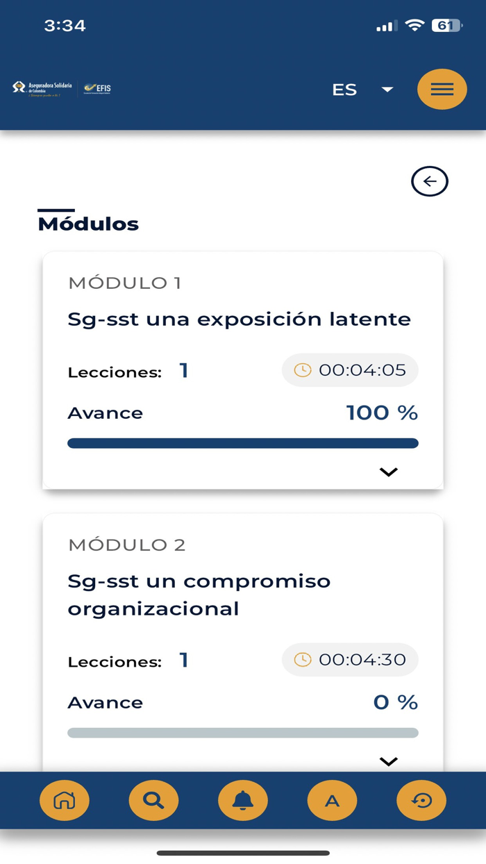 EFIS – Aseguradora Solidaria
