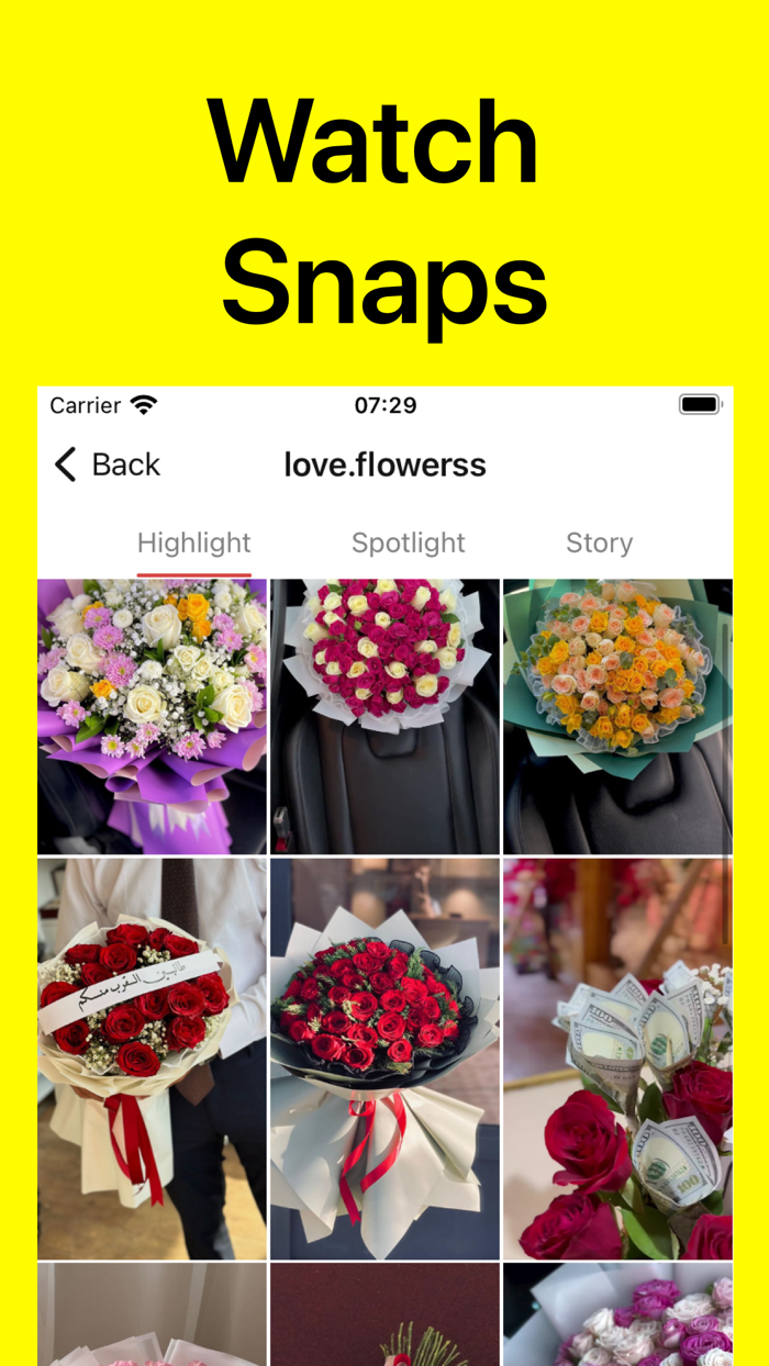 SnapSaver - Story Snap Saver