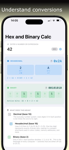 Hex and Binary Calc screenshot