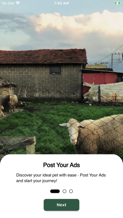 Safat Market Screenshot