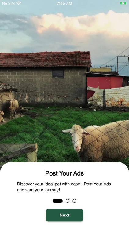 Safat Market screenshot-7