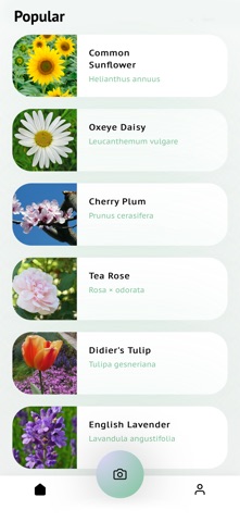 Wildflower identification screenshot