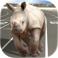 200x200bb-75.webp