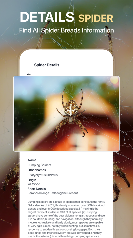 #4. Spiders Identifier by Photo ID (iOS) 来自: Zain ul Abdin