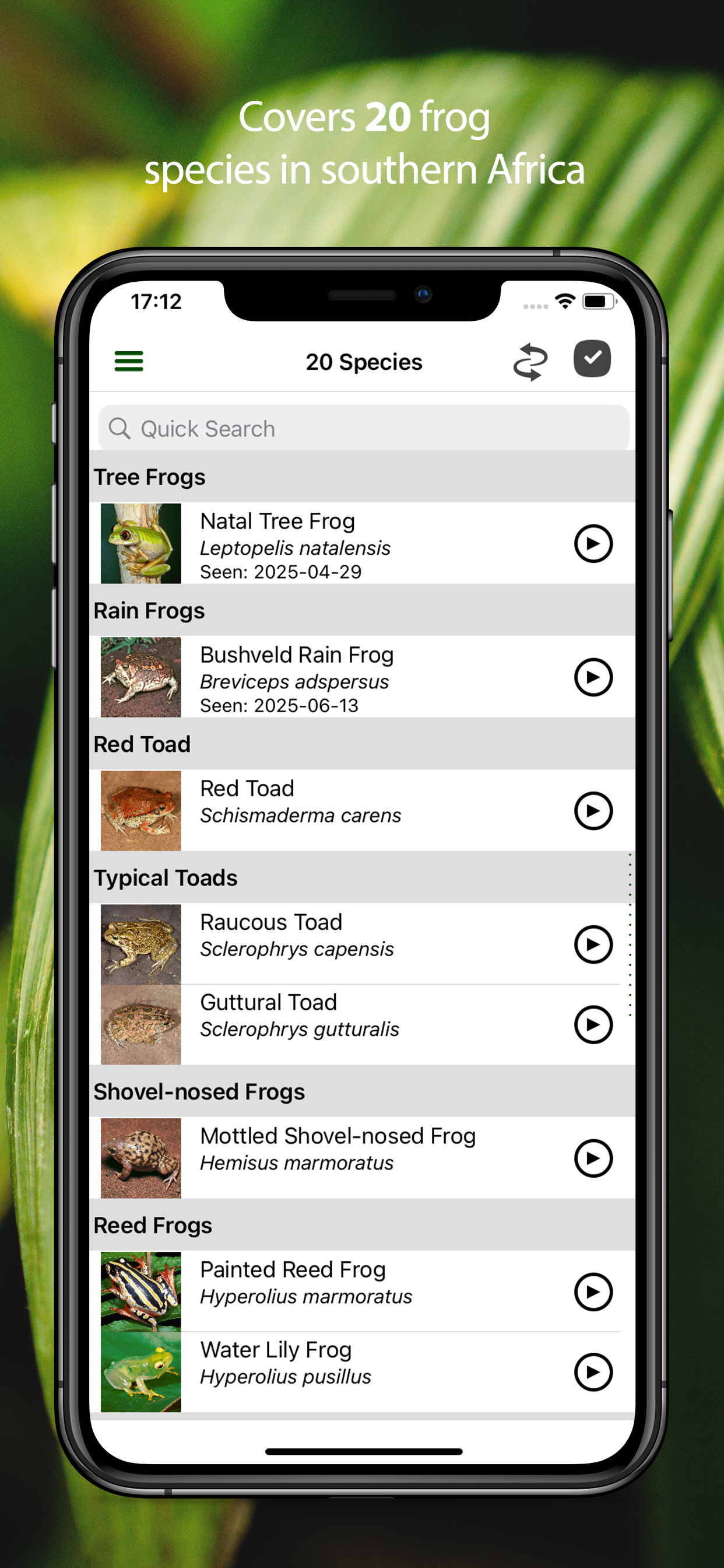 Frogs of Southern Africa LITE