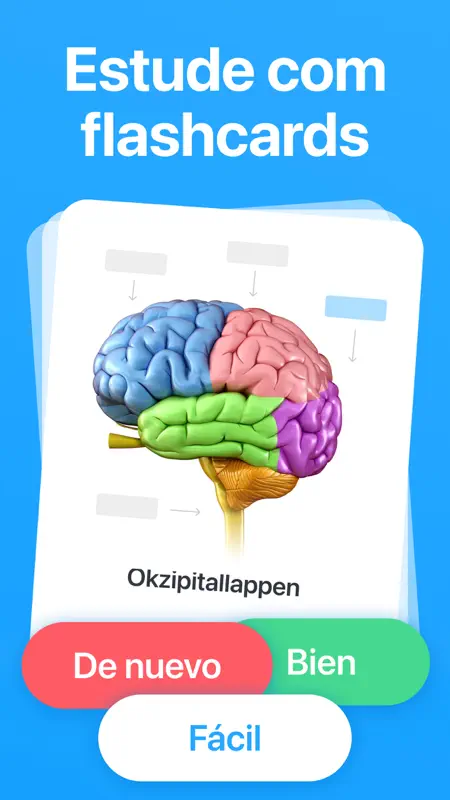 Cogni: Anki Flashcards Estudos screenshot 1 of 5