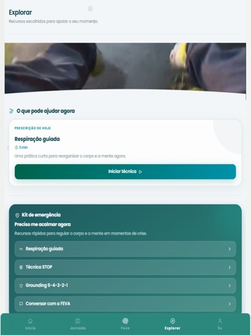 FEVA iPad screenshot
