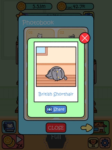 Cat Condo iPad screenshot