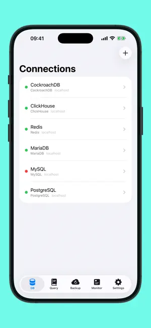 Forge Database Manager 截图