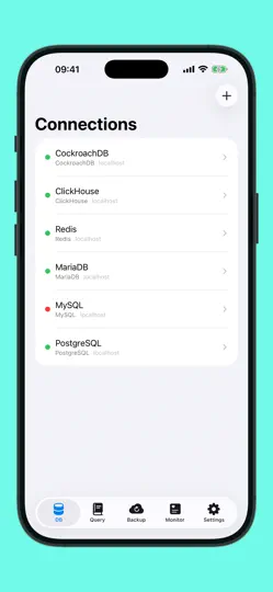 Capture d'écran de Forge Database Manager sur iPhone 1