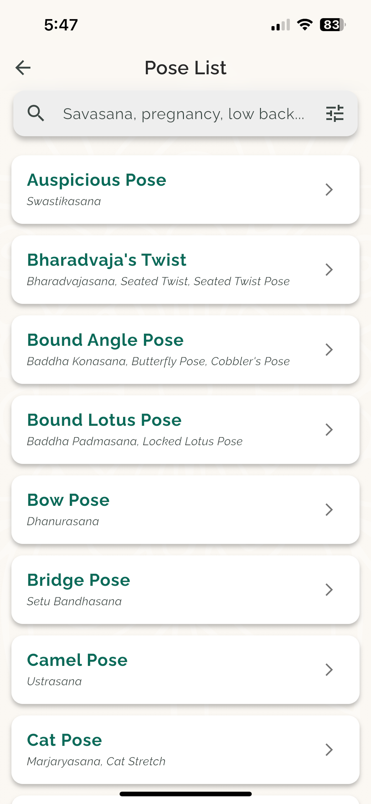 Sadhana screenshot 5