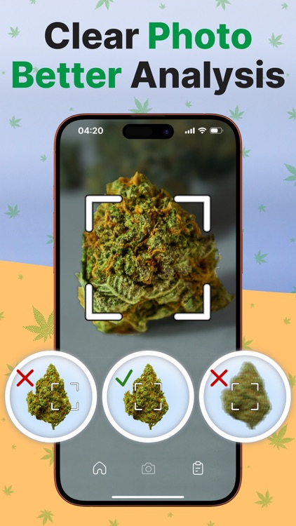 THC Weed Identifier: Kush Scan screenshot-6