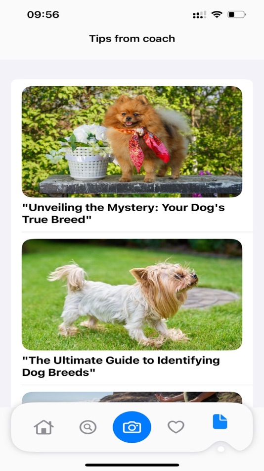 #6. Dog Identifier: AI Scanner (iOS) 由: VIET NAM JINGLE SOFTWARE