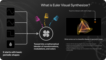 Euler VS Screenshot