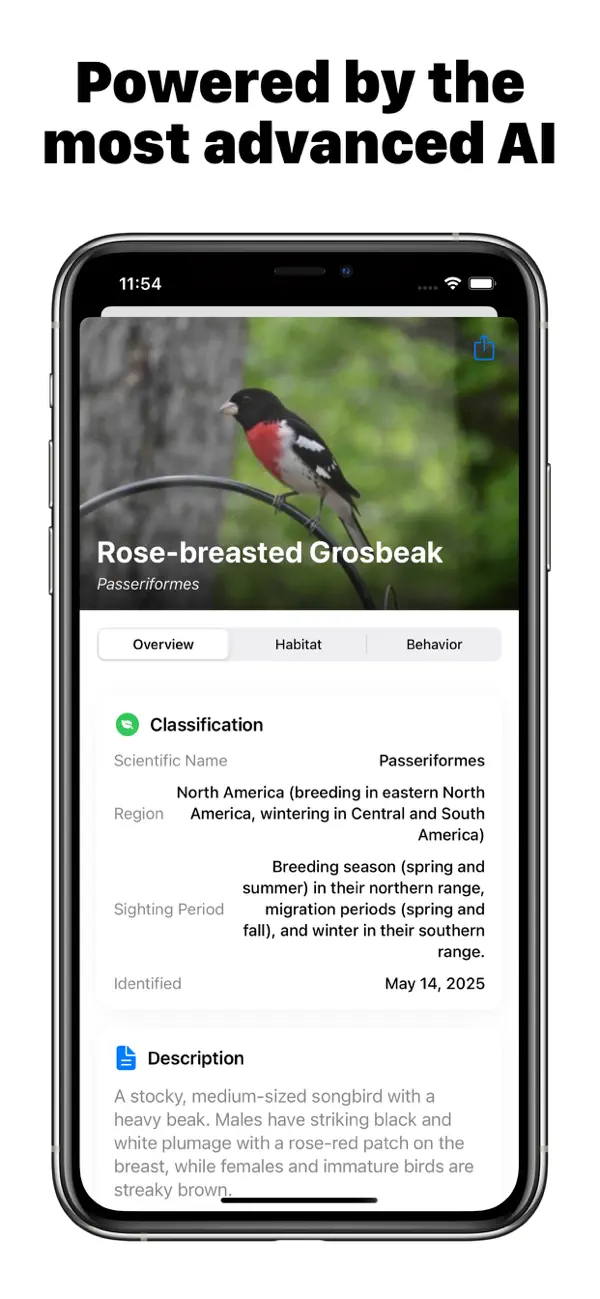 #1. Bird Identifier (iOS) Podle: Kawaii