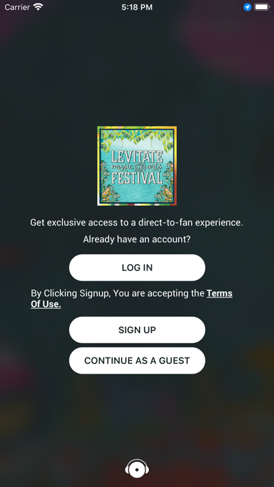 Levitate Music & Arts Festival Screenshot