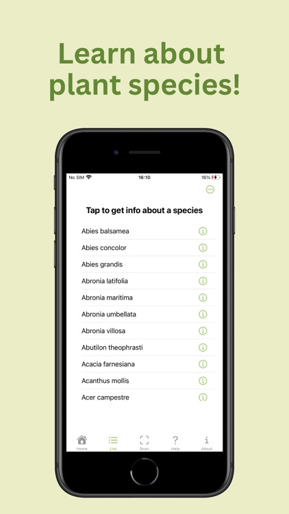 PlantID: Plant Identification