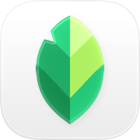 Snapseed: editor de fotos